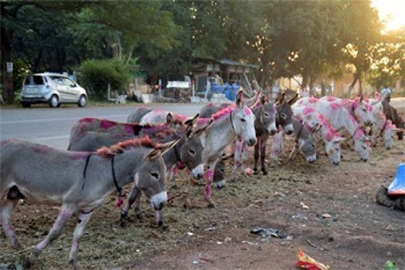 ઉજ્જૈન