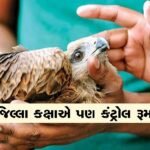 ઉત્તરાયણ પર્વ