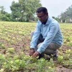 પ્રાકૃતિક ખેતી (natural farming)