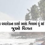 બિપરજોય વાવાઝોડા